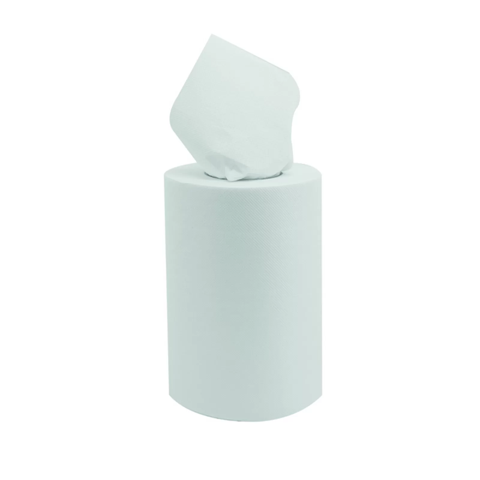 Papierwischtücher Mini (2 lagig, 9 Rollen, 50 m, 200 Blatt)